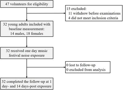 Acute Recreational Noise-Induced Cochlear Synaptic Dysfunction in Humans With Normal Hearing: A Prospective Cohort Study